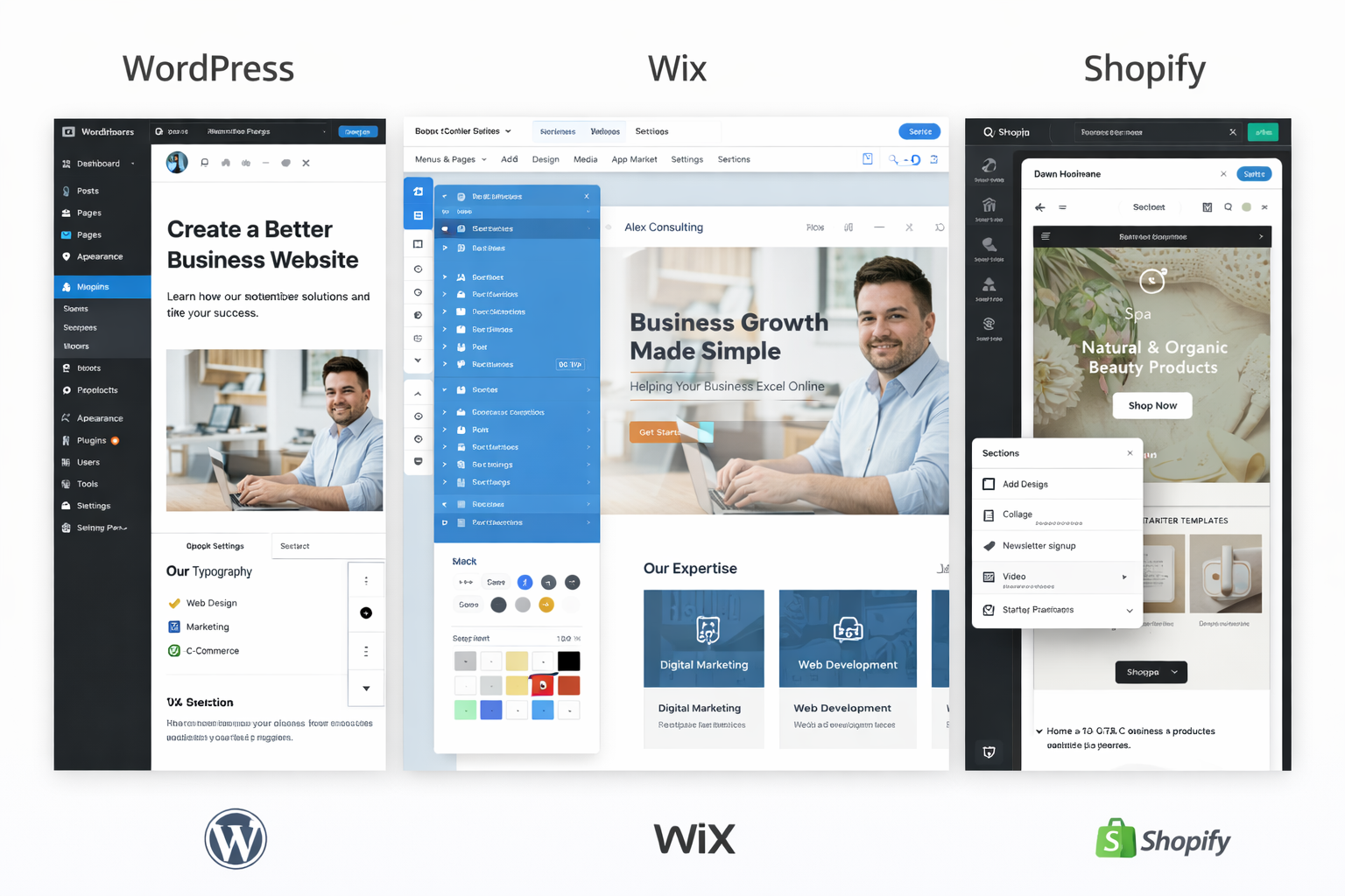 creare site web Cluj